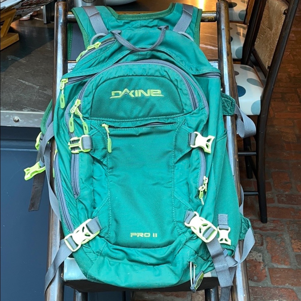 Dakine green backpack